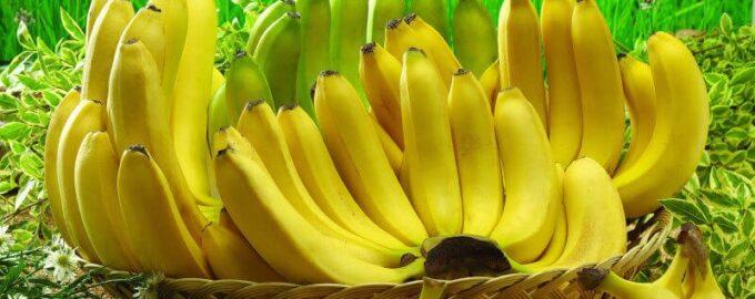 Банан какой фрукт
